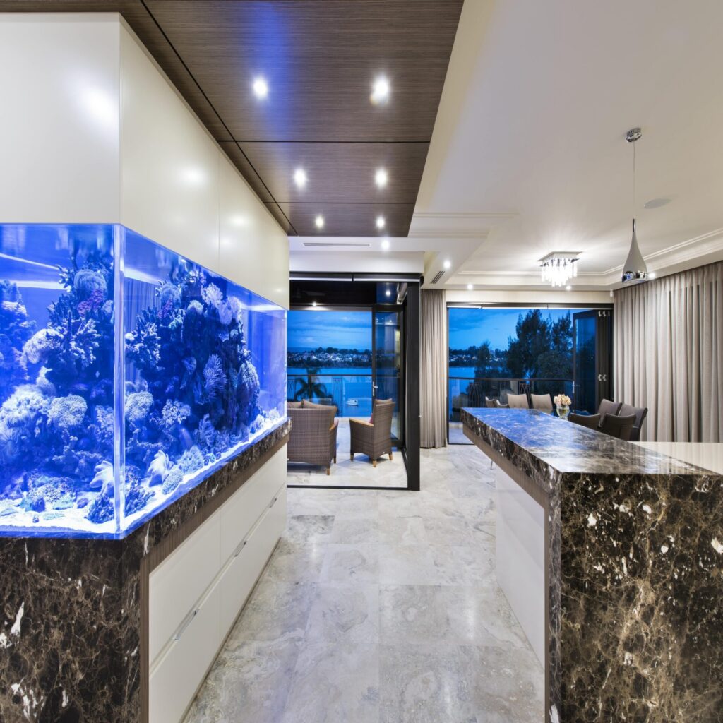 ||Custom Aquariums Perth||Custom Aquariums Perth|||Custom Home Aquarium|Luxury Custom Aquarium