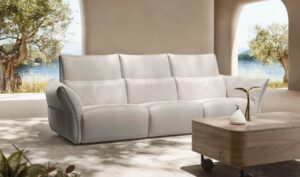 Comfortness Collection|||||||||Natuzzi Wellbe sofa