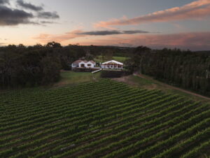 CREDARO ESTATE||||Great Wines to Cellar|CREDARO ESTATE|Office of Credaro Estate|