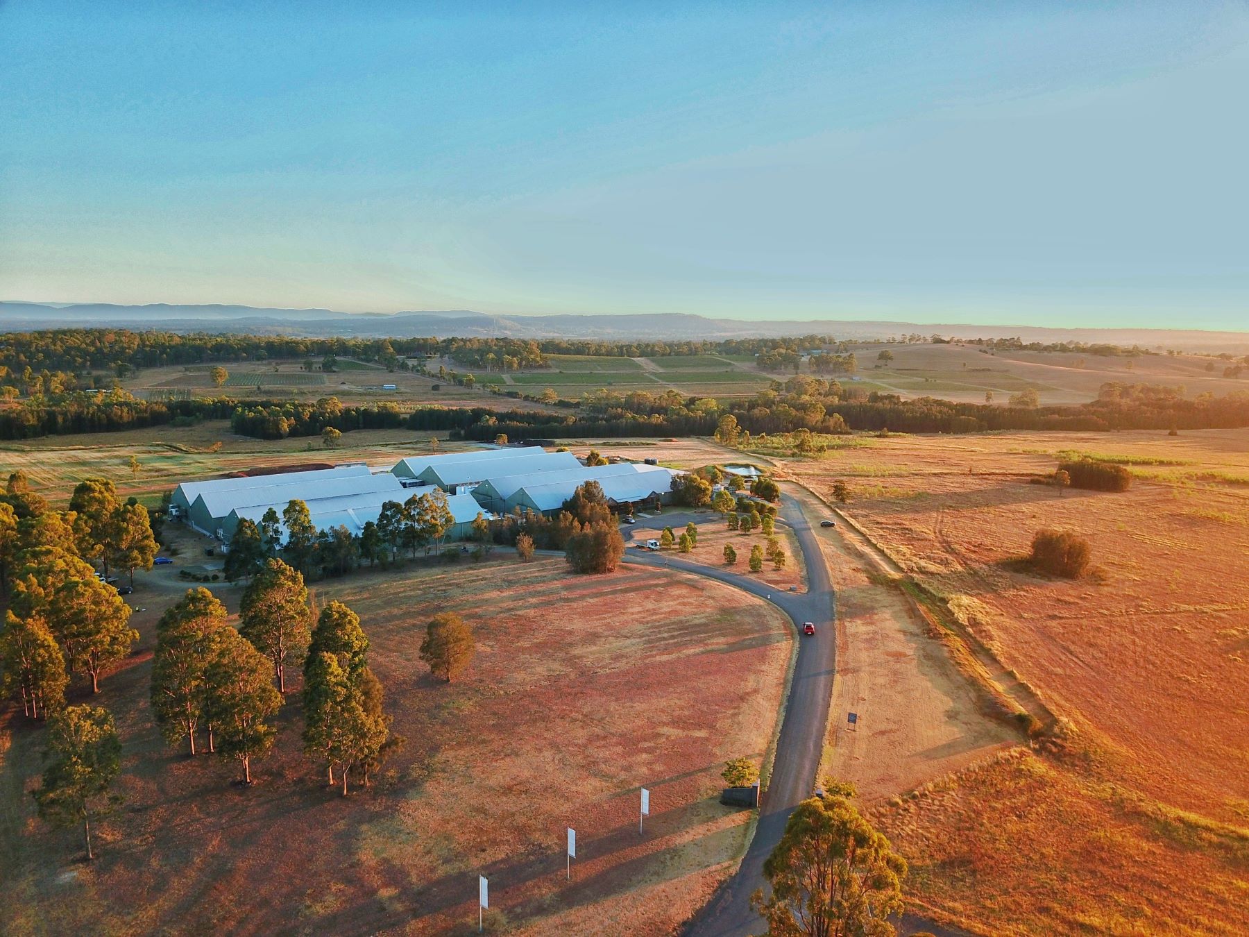 |First Creek Wines Chardonnay Hunter Valley||First Creek Rose Hunter Valley||