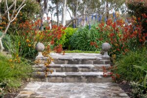 Luxury Landscapers Sydney 8|Hamptons Style Homes Brisbane|Luxury Landscapers Sydney 2|Luxury Landscapers Sydney 10|Luxury Landscapers Sydney 7||Luxury Landscapers Sydney 3|Luxury Landscapers Sydney 5|Luxury Landscapers Sydney 6|Luxury Landscapers Sydney 9|logo mikecass|Luxury Landscapers Sydney|Luxury Landscapers Sydney|Luxury Landscapers Sydney|Luxury Landscapers Sydney|Luxury Landscapers Sydney