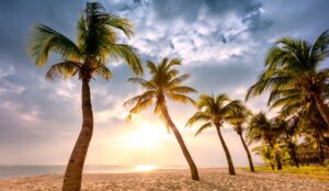 Luxury Tropical Island Escapes