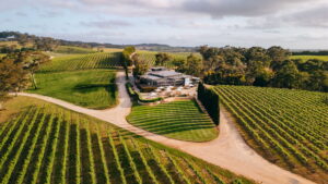 The Lane Vineyard||Australian Wine|Exclusive Collection of The Lane Vineyard||||||The Lane Vineyard