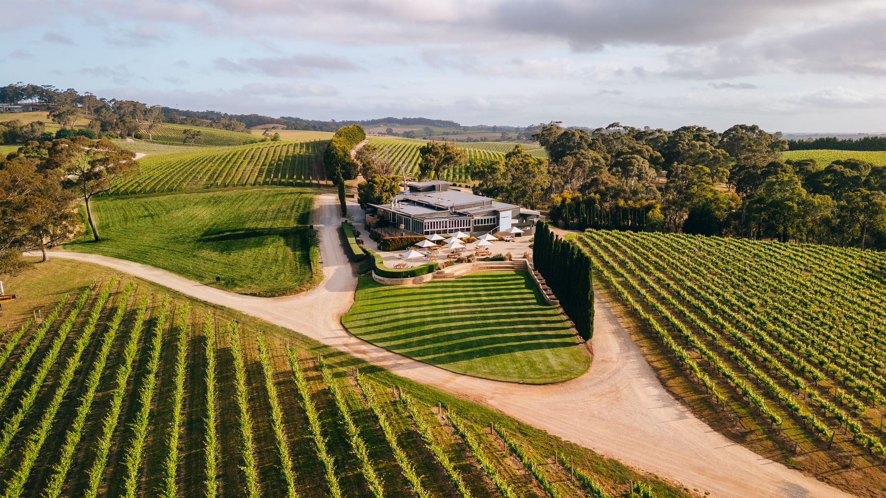 The Lane Vineyard||Australian Wine|Exclusive Collection of The Lane Vineyard||||||The Lane Vineyard