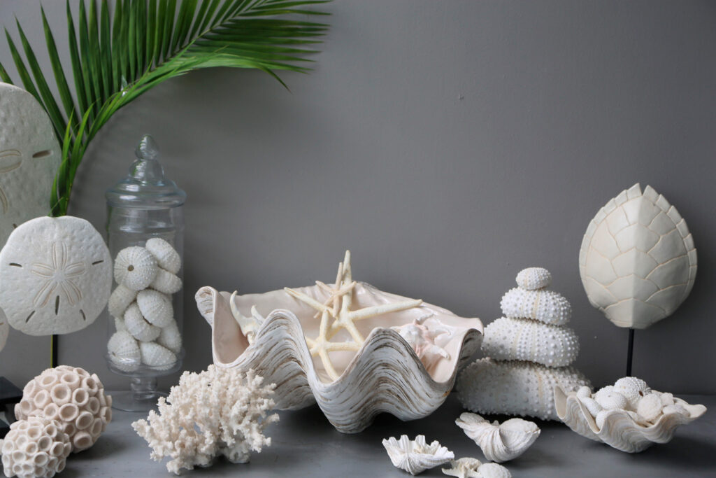 Nature feature|logo big blue|Decor|Nature Cascade|Nature bottle|Nature shells|Nature books|Nature in jars